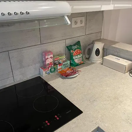 Nitra-city Centre 公寓